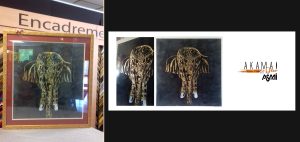 elephant or