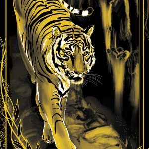 tigre zoomé